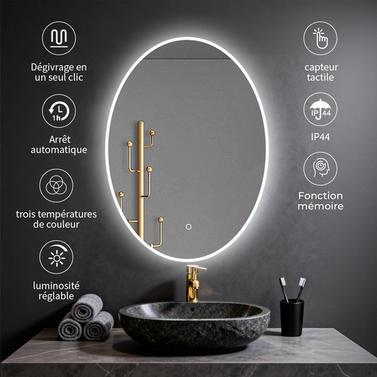 Miroir Oval avec éclairage LED pour salle de bain lumière réglable